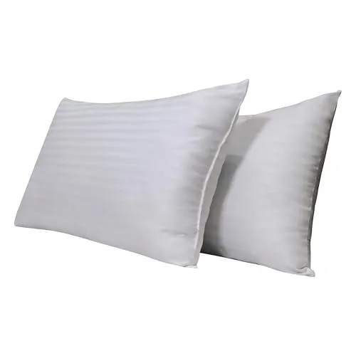 Cotton Pillow Set of 2