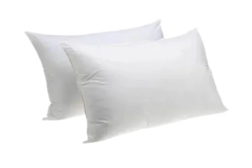 Cotton Pillow Set of 2