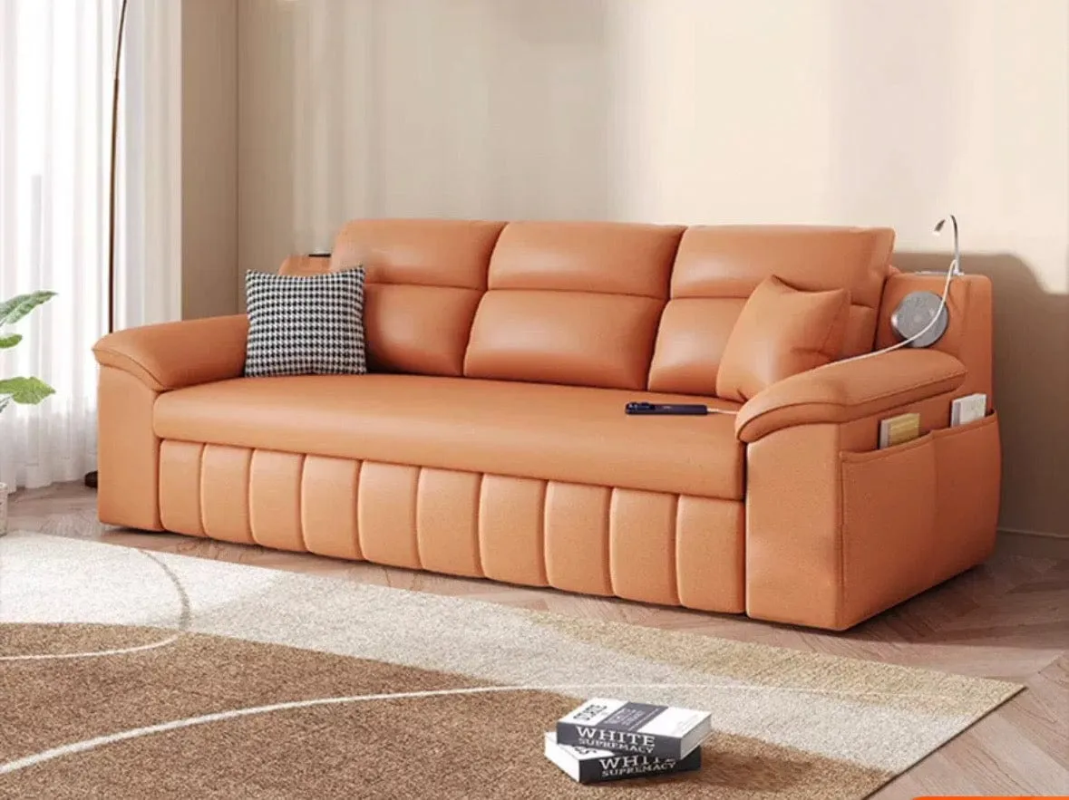 Gorgia Scratch Resistant Storage Sofa Bed