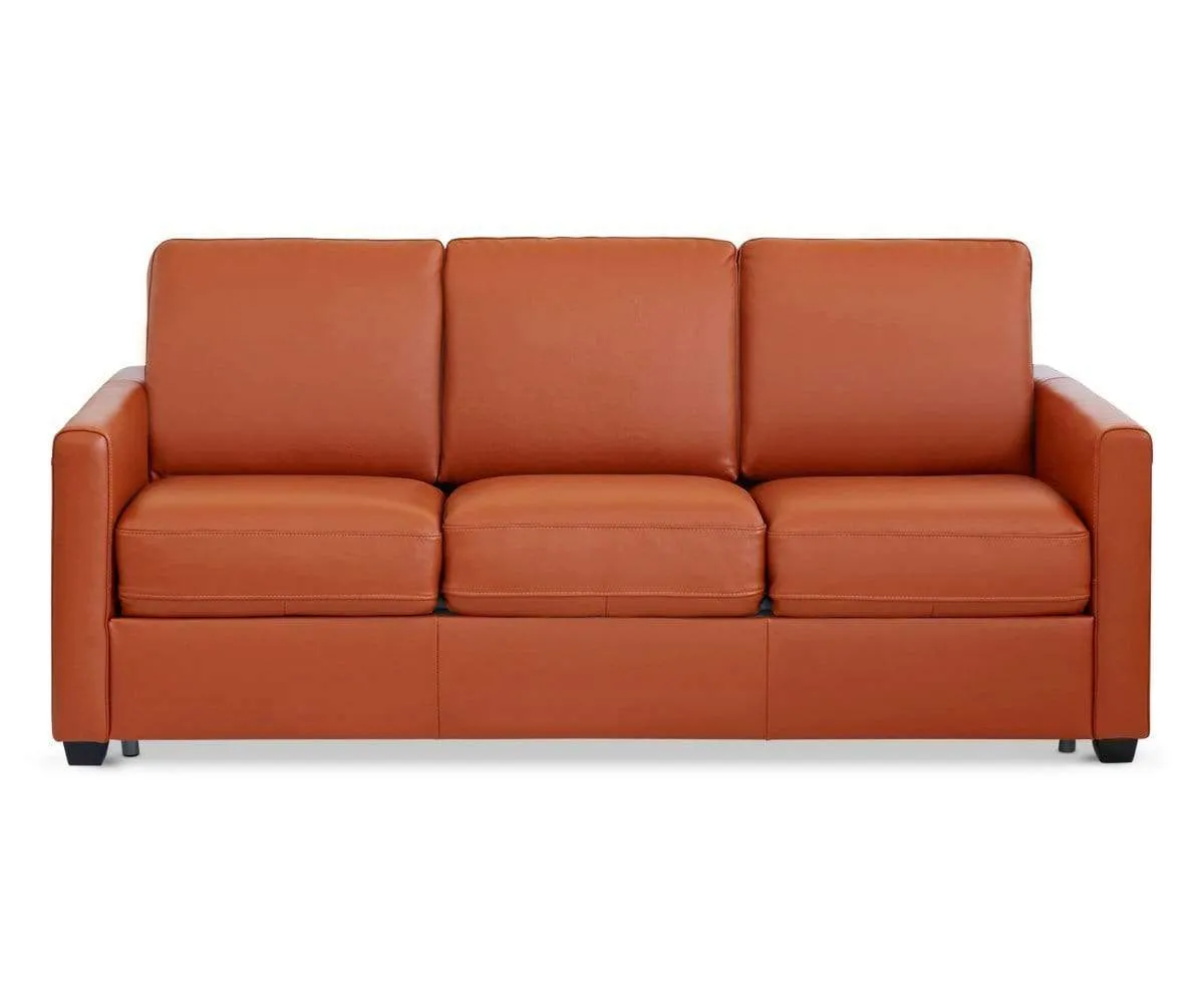 Jonas Leather Queen Sleeper Sofa