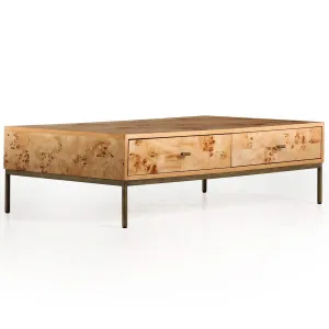 Mitzie Coffee Table, Amber